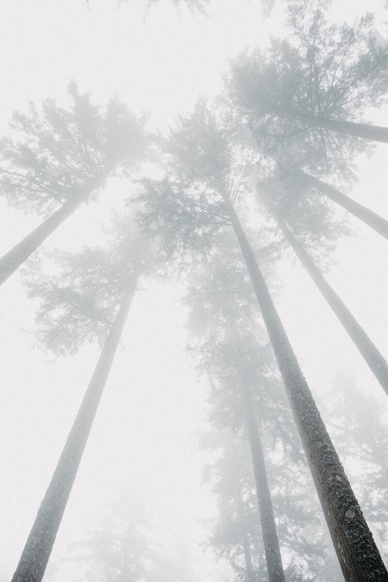 Legal Software for Filing