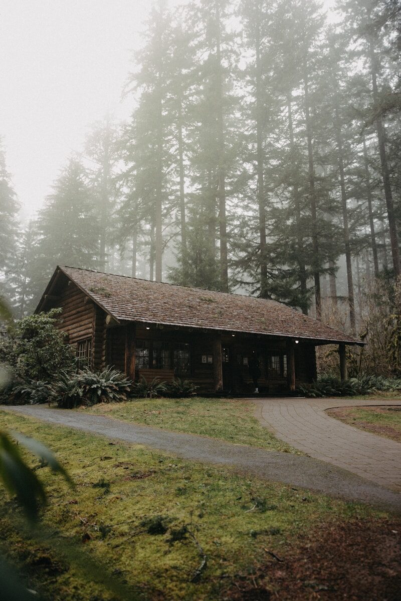 International Law Education